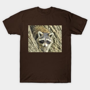 North American Raccoon No.1 T-Shirt